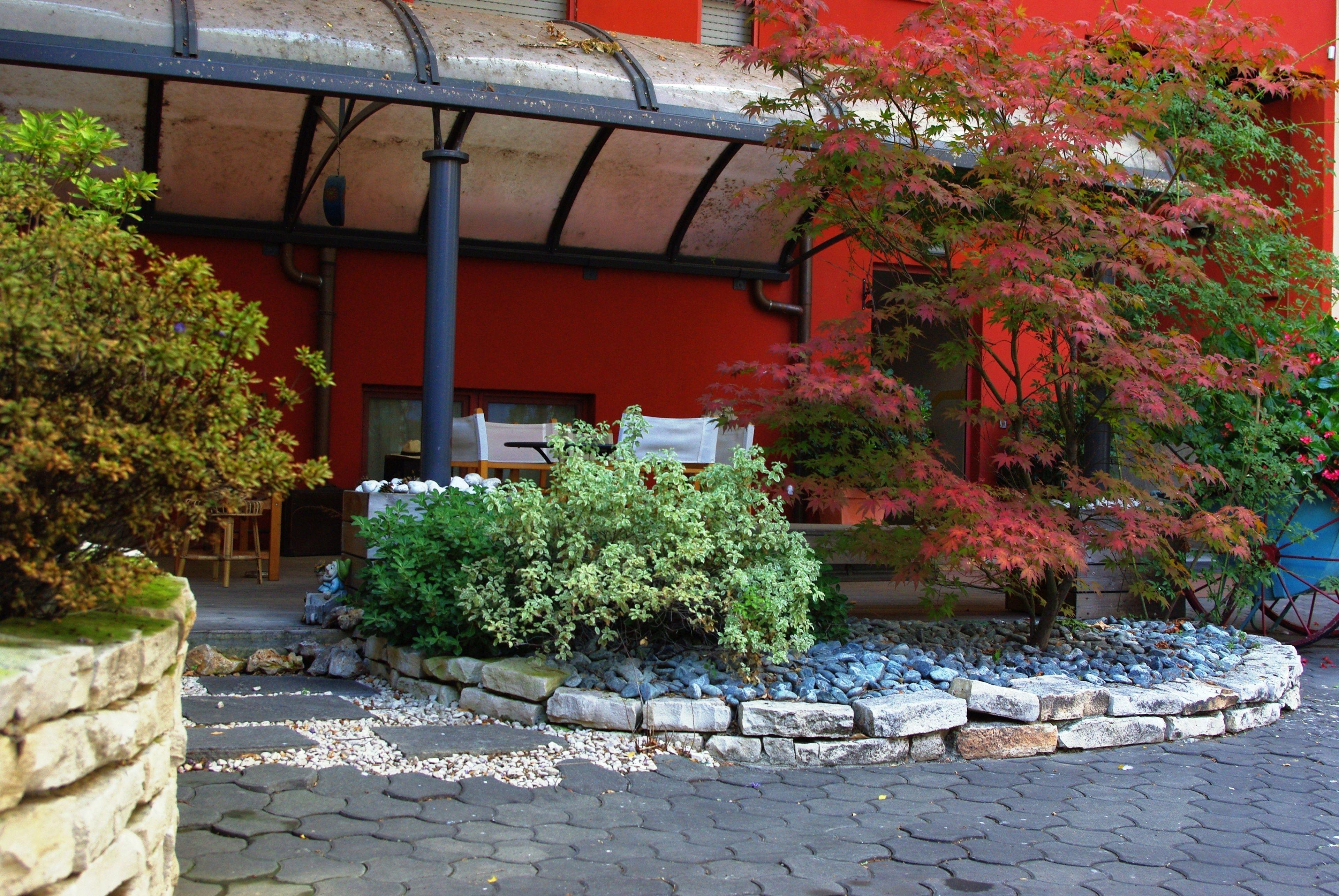 Il Girasole High Quality Inn — Fotoğraflar 2